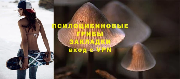 первитин Лагань