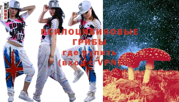 герыч Ладушкин