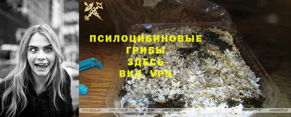 гашик Лабытнанги