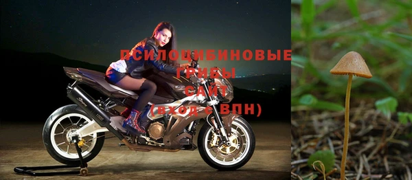 гашик Лабытнанги